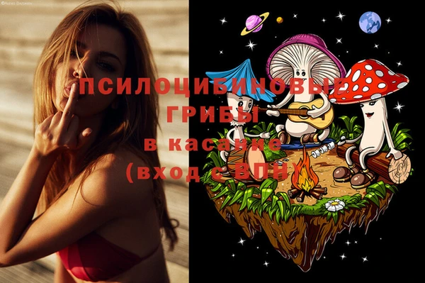 бутират Баксан