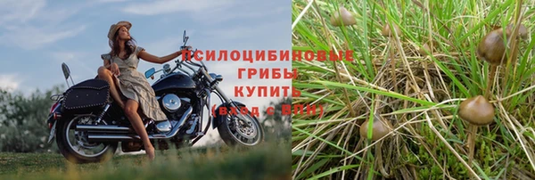 гашишное масло Армянск